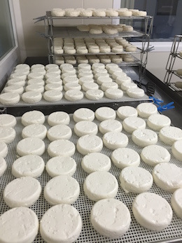 Les fromages sur la grille de séchage