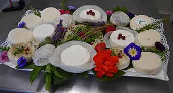 plateau final de fromages